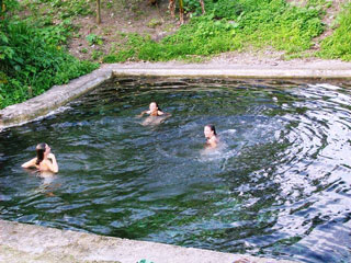 American Pool, Ulei