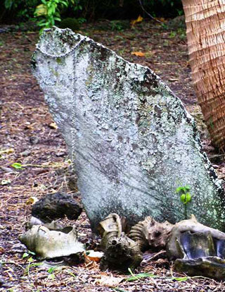 Roi Mata Site