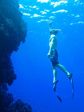 Tranquility Dive