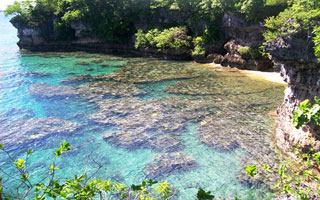 Eco-trail walk+Efate
