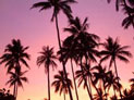 Harbour Front Guesthouse, Gaua