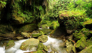 Cave