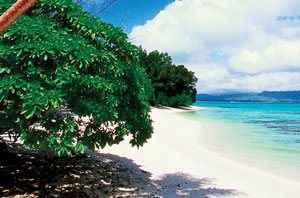Beach