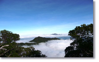 View from Mt. Tabwemasana+Espiritu Santo