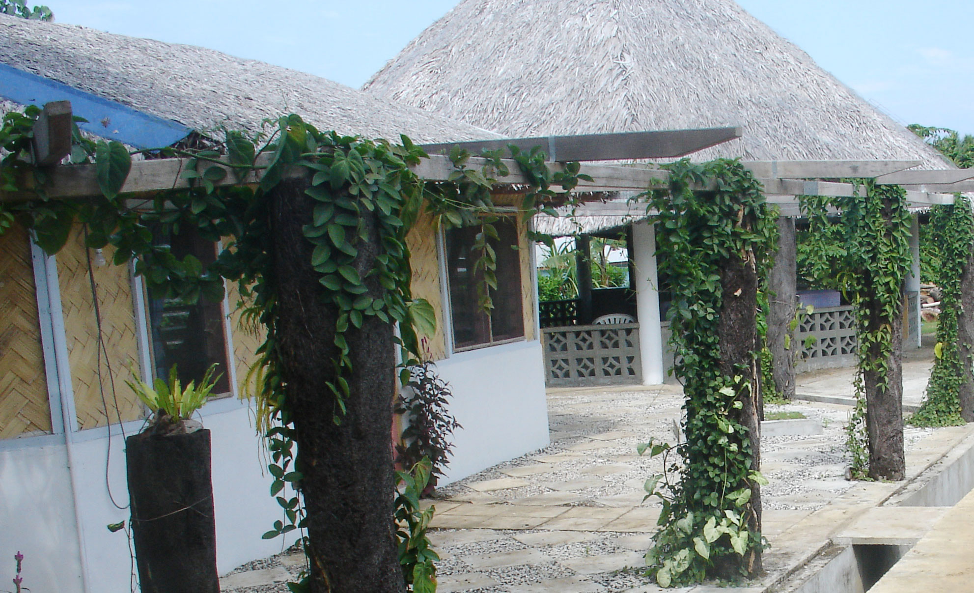 Harbour Front Guesthouse, Gaua